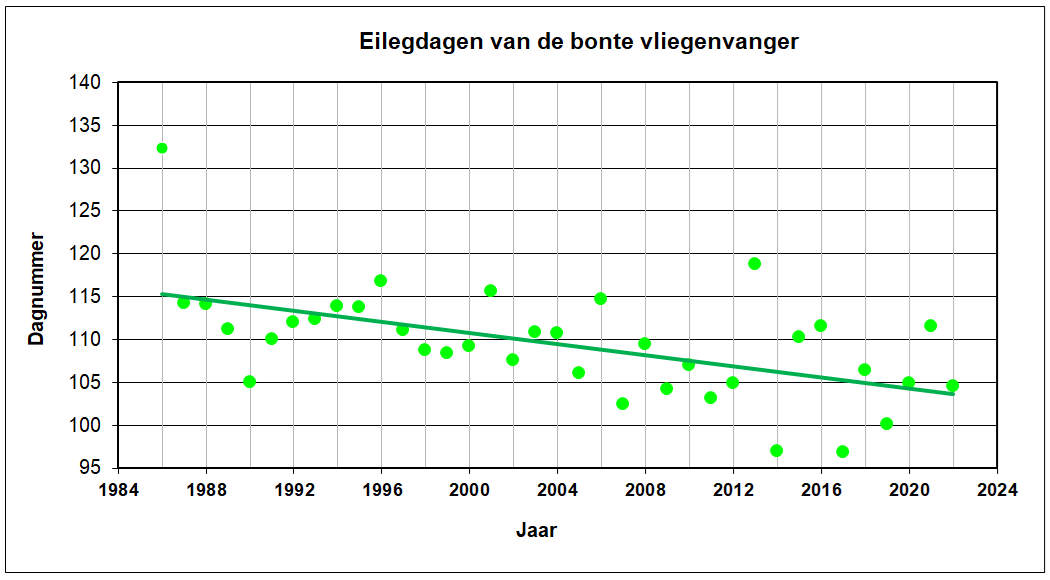 Gemiddelde eilegdag bonte vliegenvanger Grafiek van de dag in het jaar waarop de bonte vliegenvanger zijn ei legt
